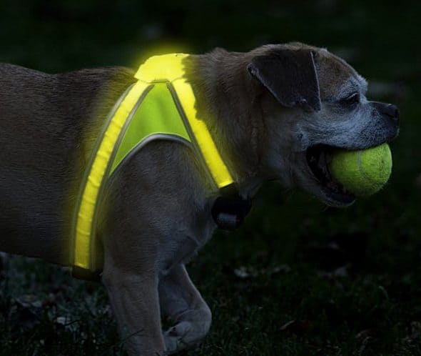noxgear-light-hound-illuminated-and-reflective-dog-vest-cool-pet-gift-to-buy noxgear-light-hound-illuminated-and-reflective-dog-vest-cool-pet-gift-to-buy