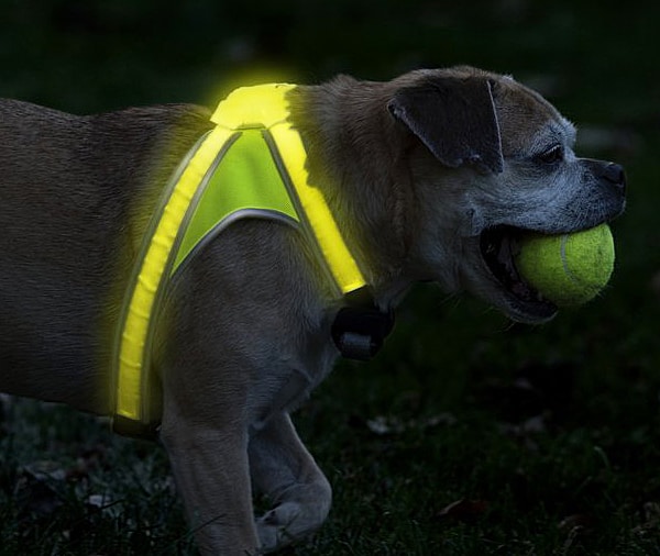 noxgear-light-hound-illuminated-and-reflective-dog-vest-cool-pet-gift-to-buy