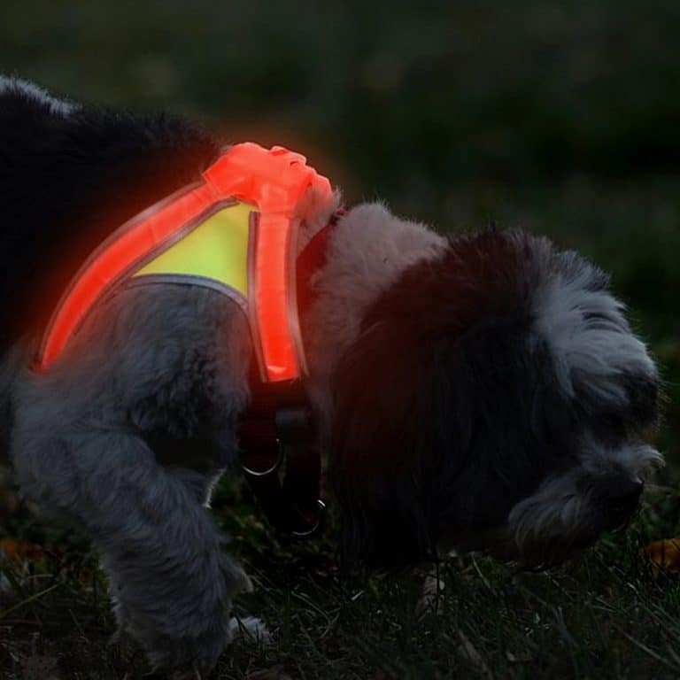noxgear-light-hound-illuminated-and-reflective-dog-vest-machine-washable