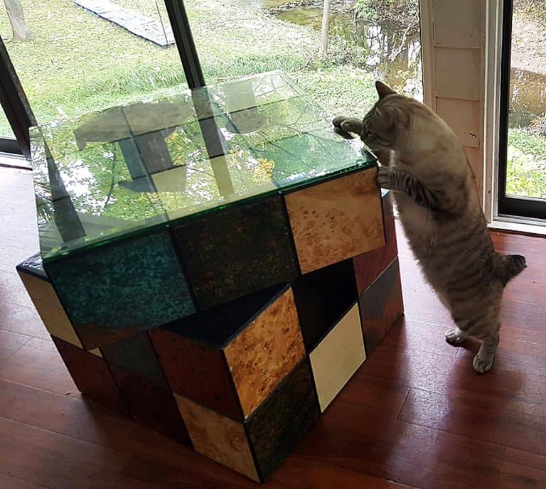 catastrophicreations-rubix-cube-cat-bed-rotating-top-section