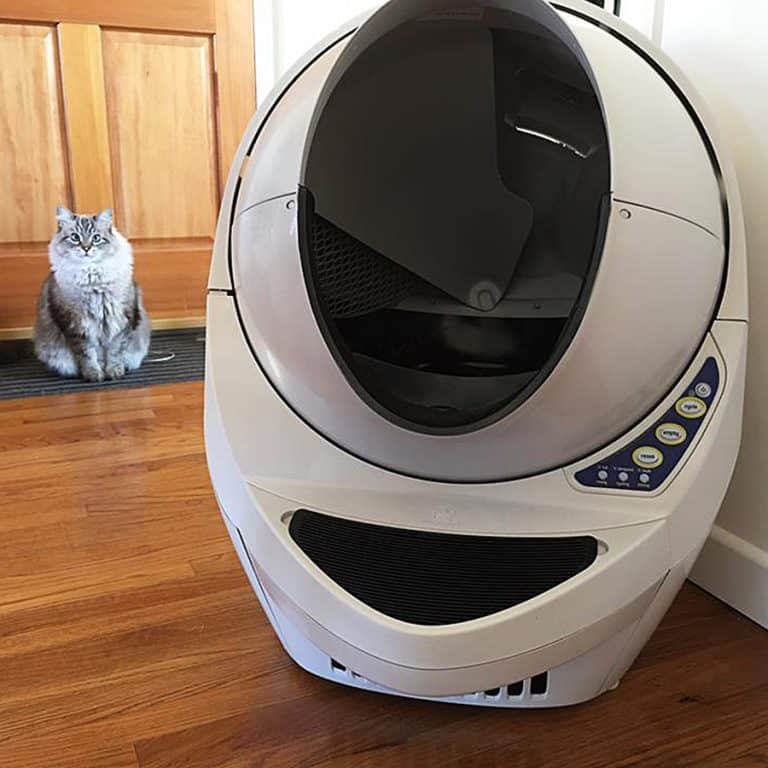 Litter Robot III Open Air Automatic Self Cleaning Cat Litter Box 