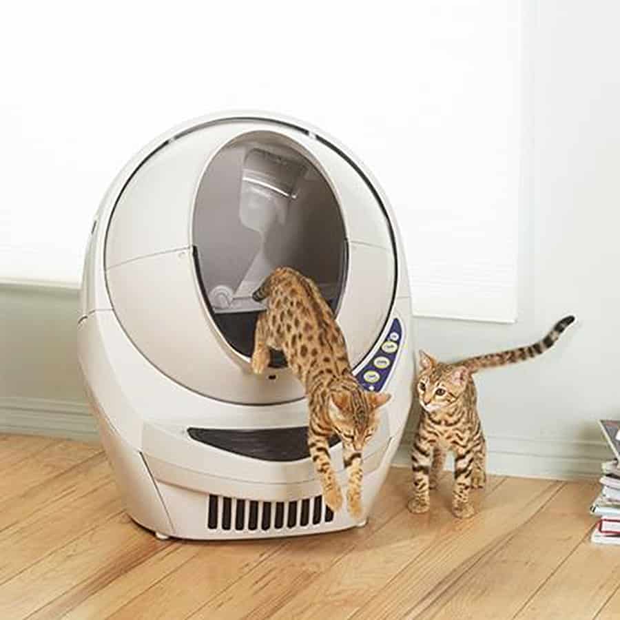 cleaning litter robot open air