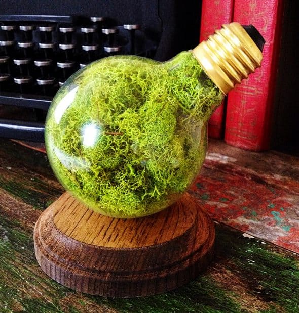 fox-and-dye-design-repurposed-lightbulb-moss-terrarium-nature-inspired-desktop-display fox-and-dye-design-repurposed-lightbulb-moss-terrarium-nature-inspired-desktop-display