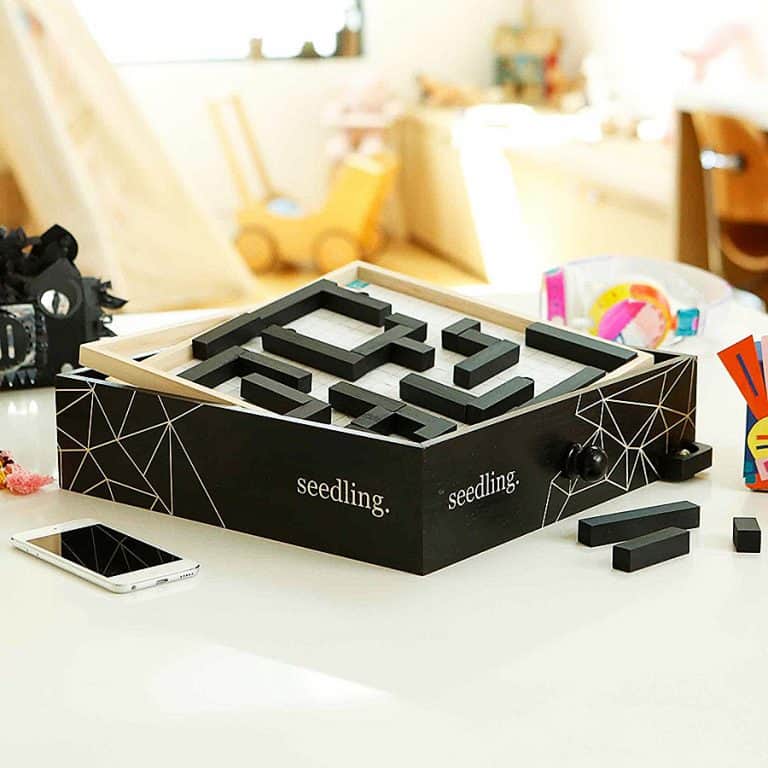 seedling-design-your-own-marble-maze-brain-exercise