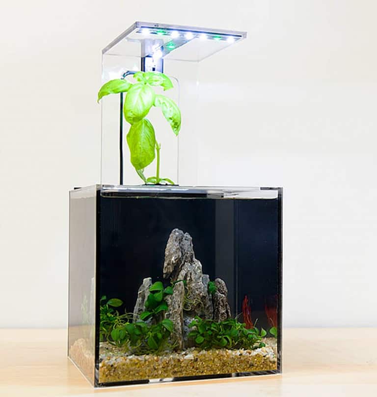 ecoqube-c-aquarium-portable
