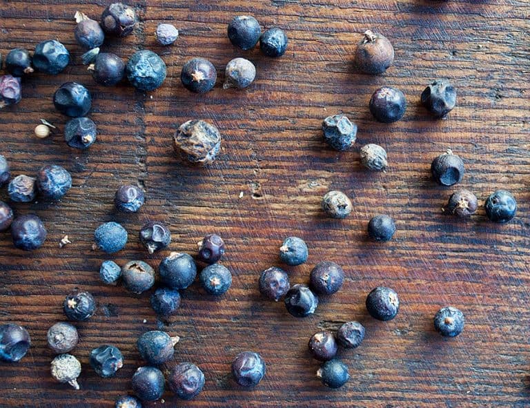 the-homemade-gin-kit-juniper-berries