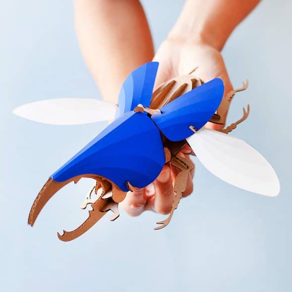 Assembli Shop Hercules Beetle Kit Collection Assembli Shop Hercules Beetle Kit Collection