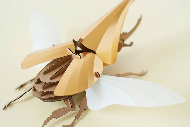 Assembli Shop Hercules Beetle Kit Paper Sculptures