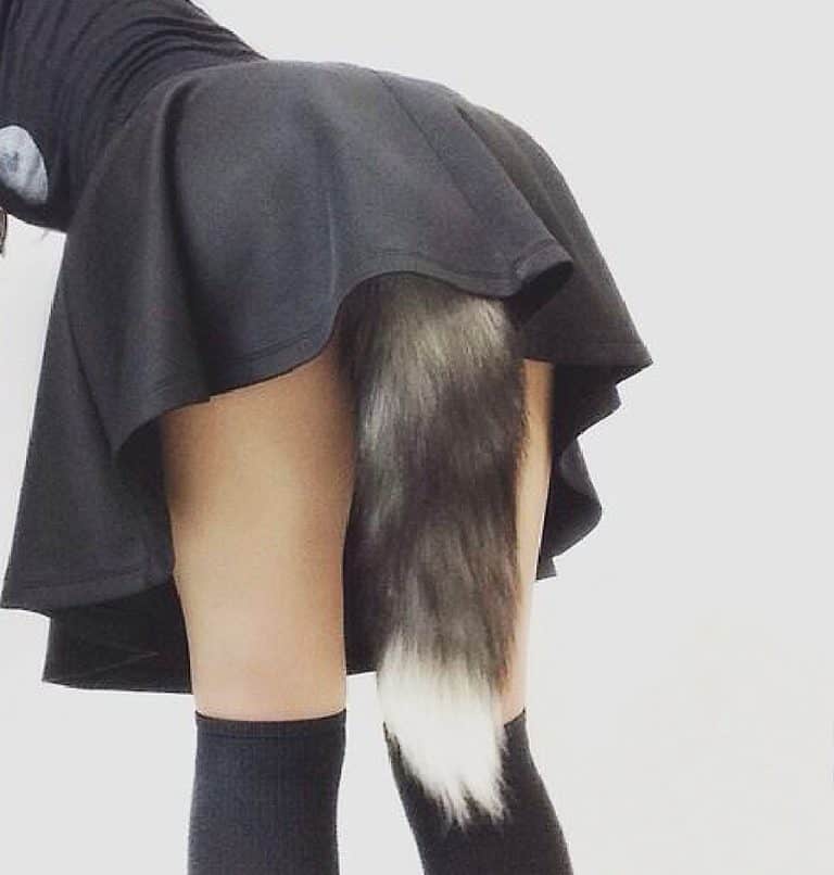 Feathered Fetish Fox Tail Butt Plug Clothing Accessory