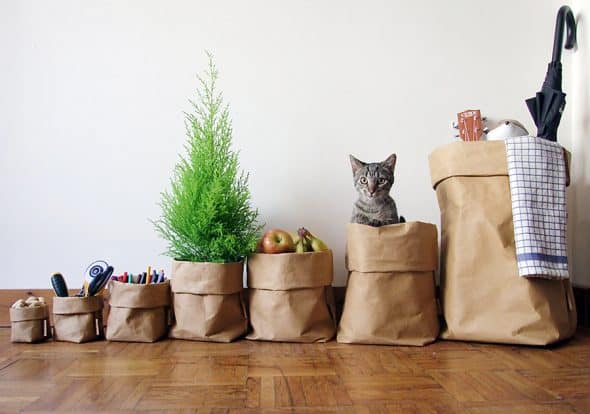 Paper Holic Washable Paper Storage Bag Plant Bags Paper Holic Washable Paper Storage Bag Plant Bags