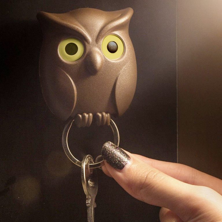 qualy-night-owl-keyring-holder-home-decor