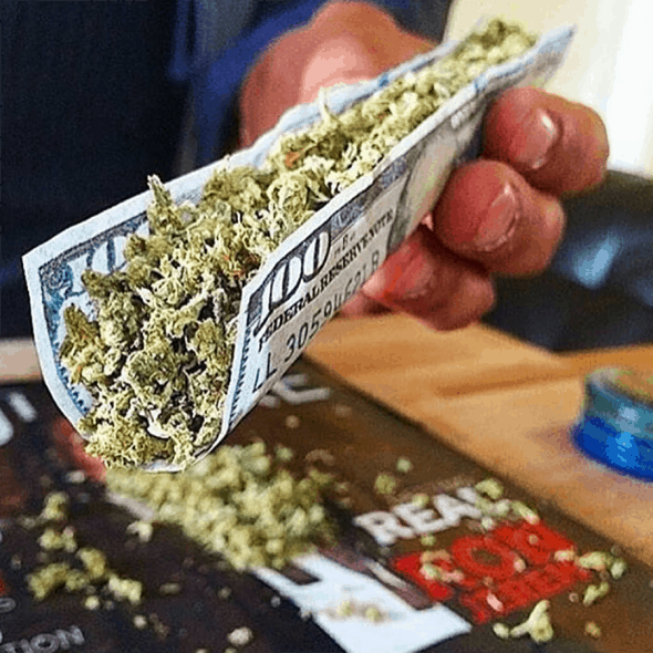 Empire Rolling $100 Dollar Bill Rolling Paper Luxurious Rolling Papers Empire Rolling $100 Dollar Bill Rolling Paper Luxurious Rolling Papers
