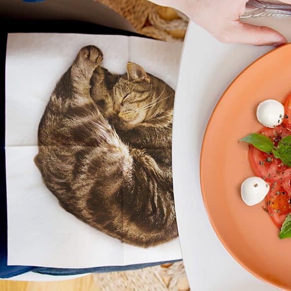 Suck UK Cat Napkins Towelette Suck UK Cat Napkins Towelette
