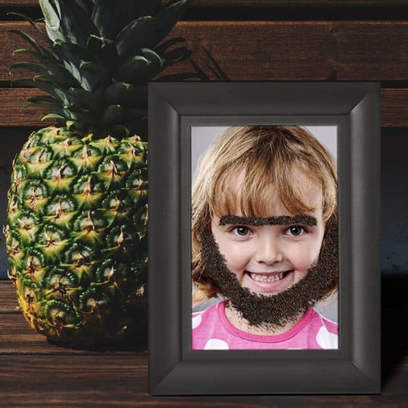 Fred Friends Fuzzy Face Magic Magnetic Picture Frame Noveltystreet And You Thought Picture Frames Were Boring