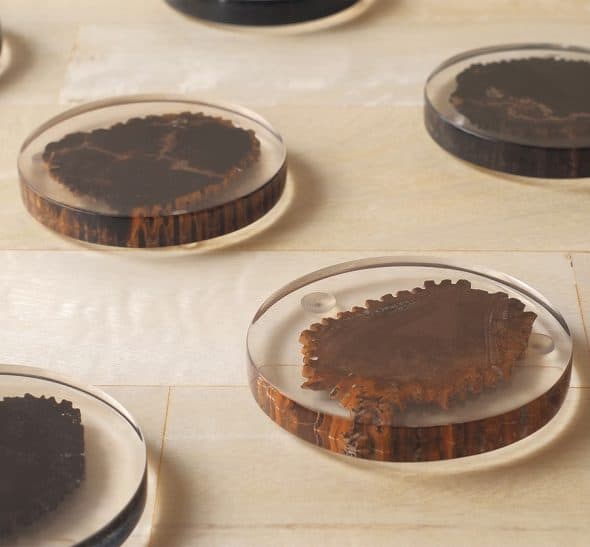 From The Source Petrified Wood Coaster Coasters From The Source Petrified Wood Coaster Coasters
