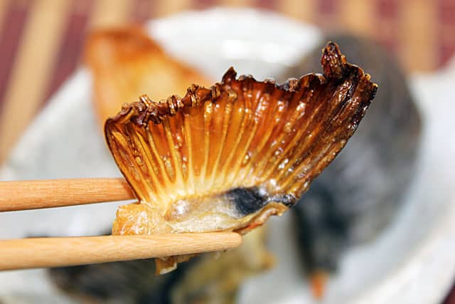 Grilled Torafugu Fin Japanese Blowfish Delicacy Oriental Gourmet