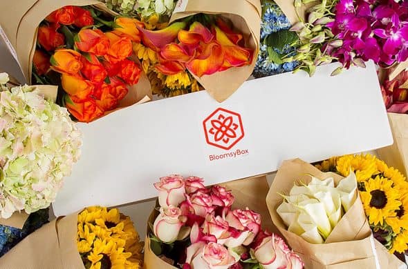 BloomsyBox Flowers of the Month Subscription Flower BloomsyBox Flowers of the Month Subscription Flower