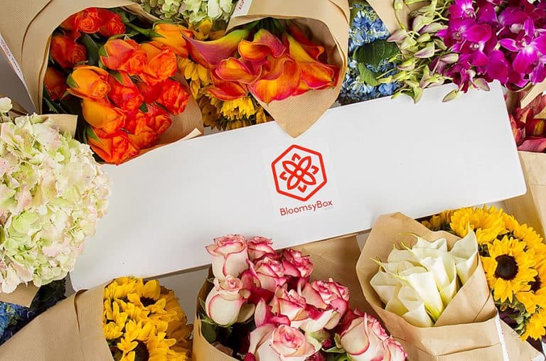 BloomsyBox Flowers of the Month Subscription Flower