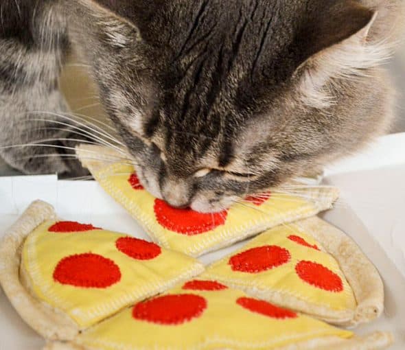 Fanti Catnip Pizza Handmade Soft Cotton Fabric Fanti Catnip Pizza Handmade Soft Cotton Fabric