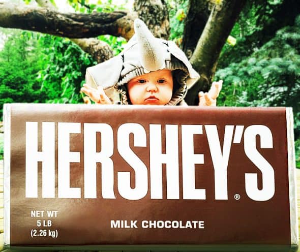 Hersheys 5 Pound Milk Chocolate Bar Cool Gift Idea Hersheys 5 Pound Milk Chocolate Bar Cool Gift Idea