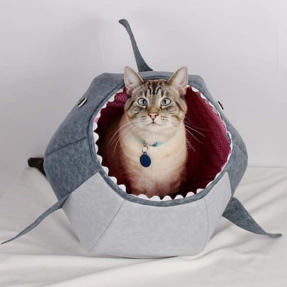 The Cat Ball Great White Shark Kitty Bed 100 Percent Cotton The Cat Ball Great White Shark Kitty Bed 100 Percent Cotton