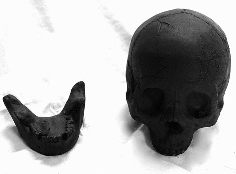 Myard Deluxe Human Skull Gas Logs Novelties