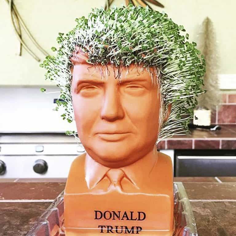 Chia Donald Trump Freedom of Choice Pottery Planter Decorative