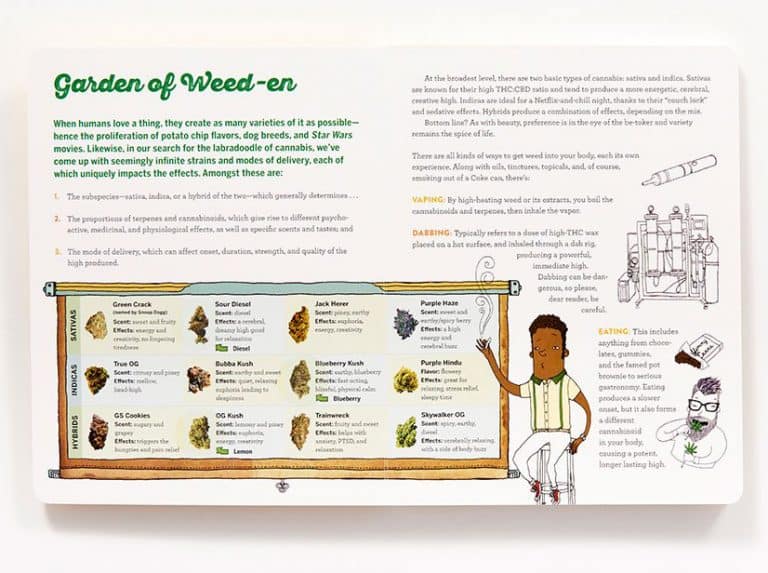 Scratch & Sniff Book of Weed Garden of Weed Page