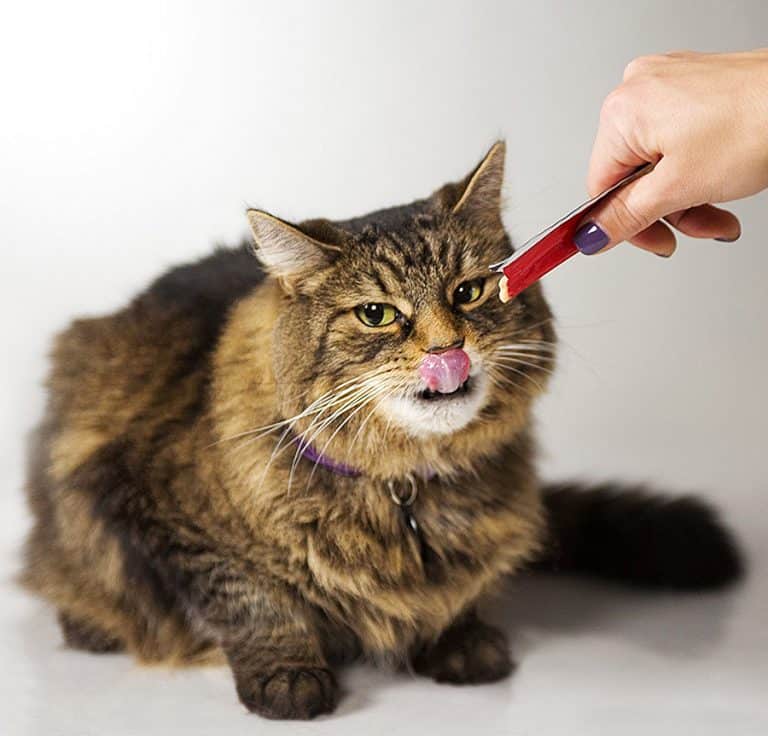 Hartz Delectables Squeeze Up Cat Treat Supplemental Feeding