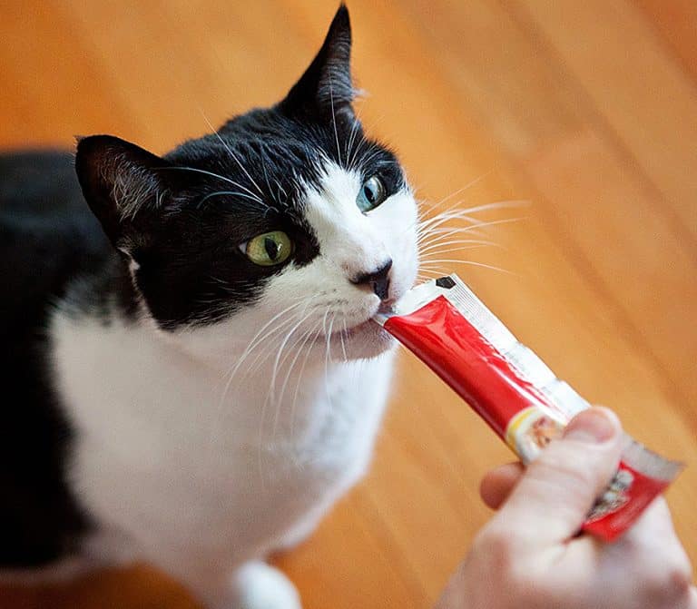 Hartz Delectables Squeeze Up Cat Treat Treats