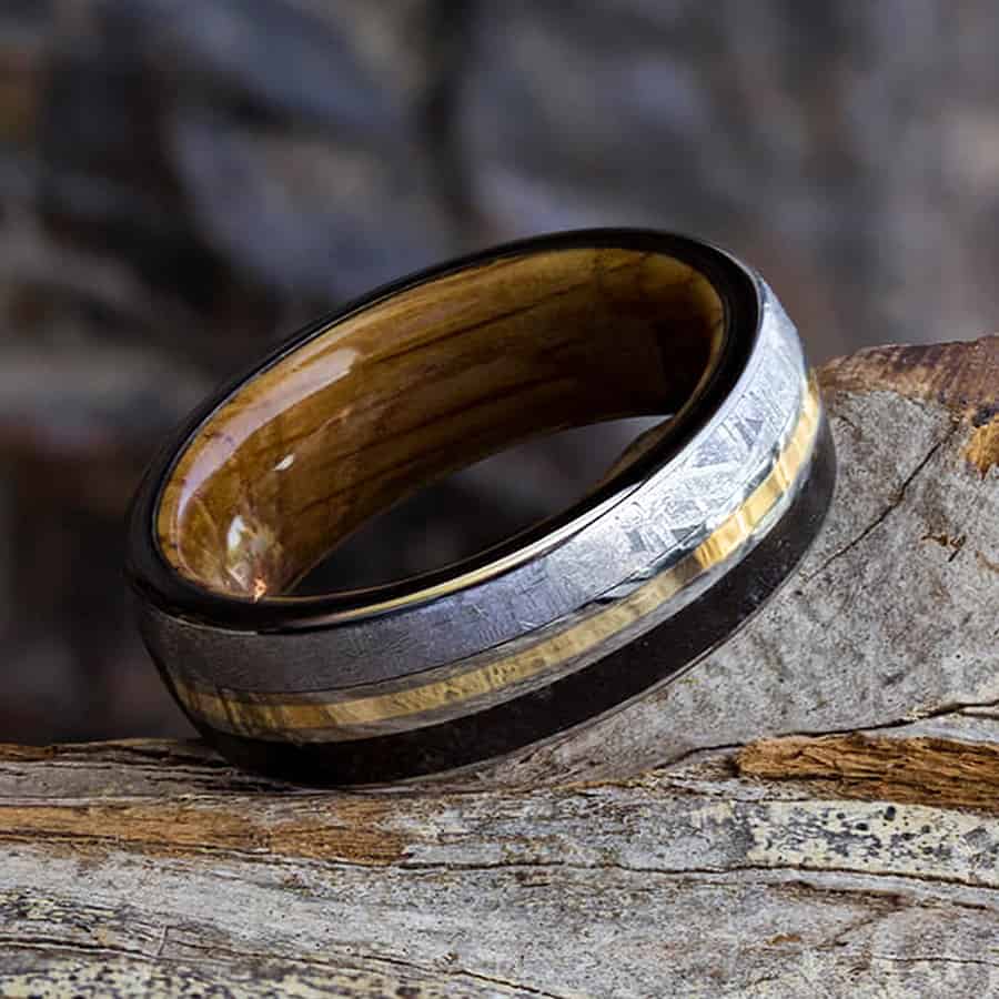 Jewelry by Johan Meteorite and Dinosaur Bone Wedding Ring NoveltyStreet