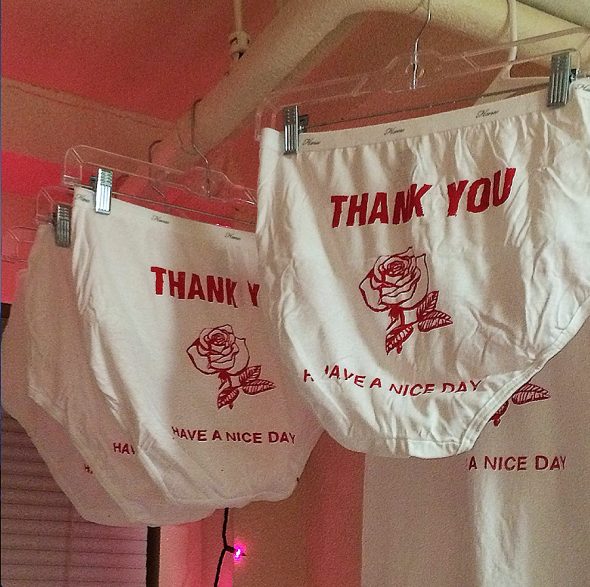 Make Fart Thank You Undies Underwear Make Fart Thank You Undies Underwear