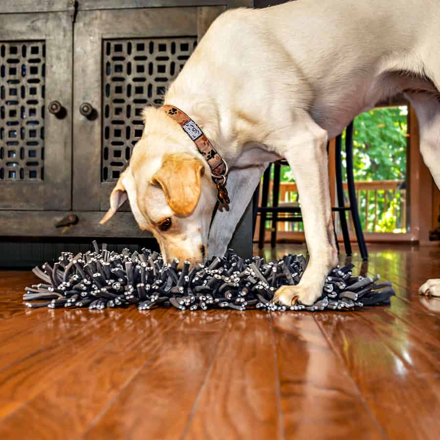 Paw5 Wooly Snuffle Mat - NoveltyStreet