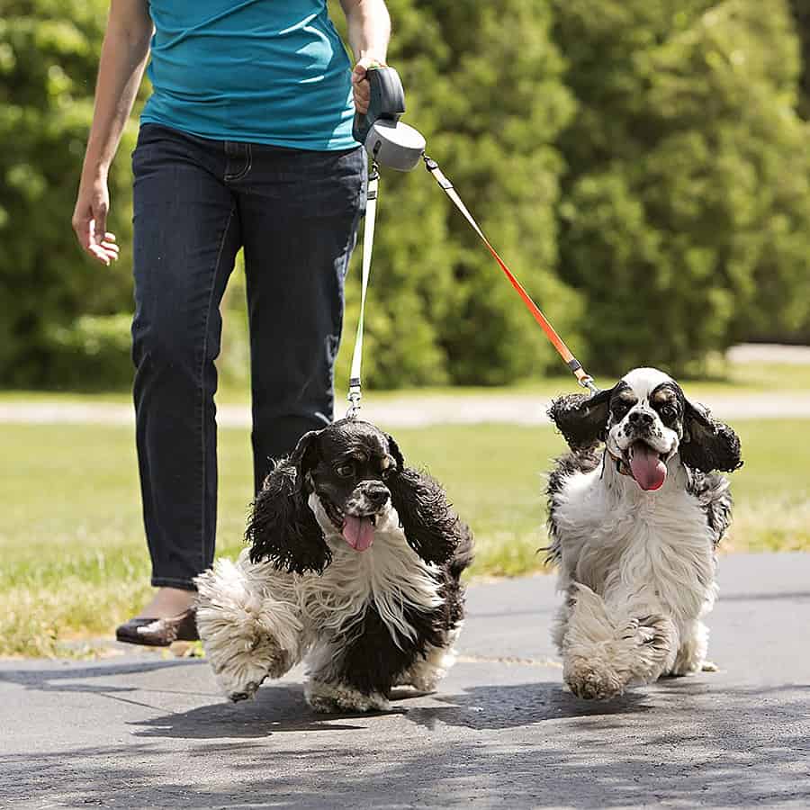 wigzi dual dog leash