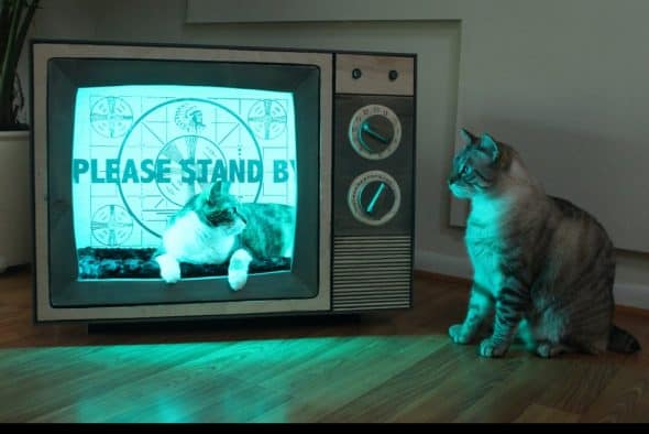 CatastrophiCreations Vintage TV Cat Bed LED Backdrop Light CatastrophiCreations Vintage TV Cat Bed LED Backdrop Light