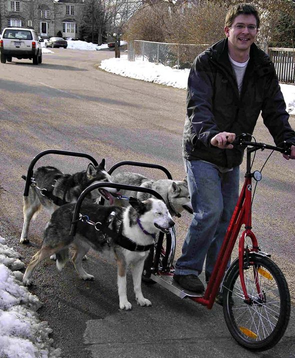 Dog Powered Scooter Novelties Dog Powered Scooter Novelties