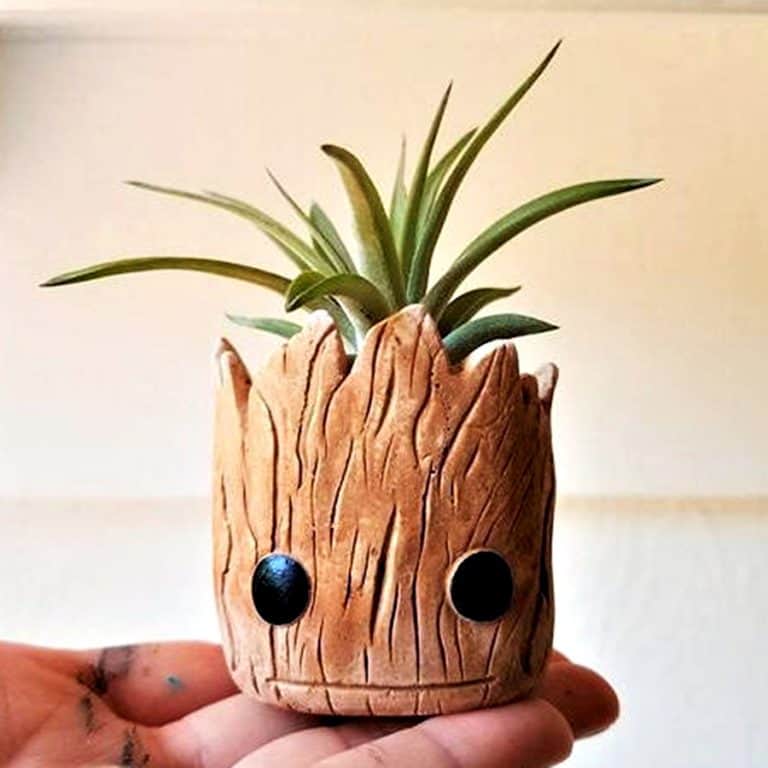 Redwood Stoneworks Baby Groot Inspired Planter Air Plant