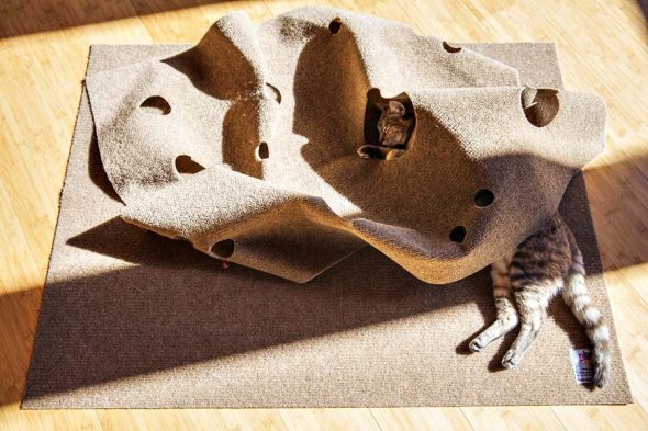 SnugglyCat The Ripple Rug Made using Recycled Plastic Bottles SnugglyCat The Ripple Rug Made using Recycled Plastic Bottles