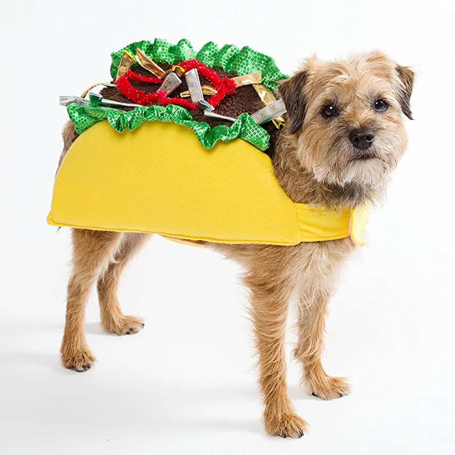 Small And Large Dog Costumes For Every Occasion NoveltyStreet