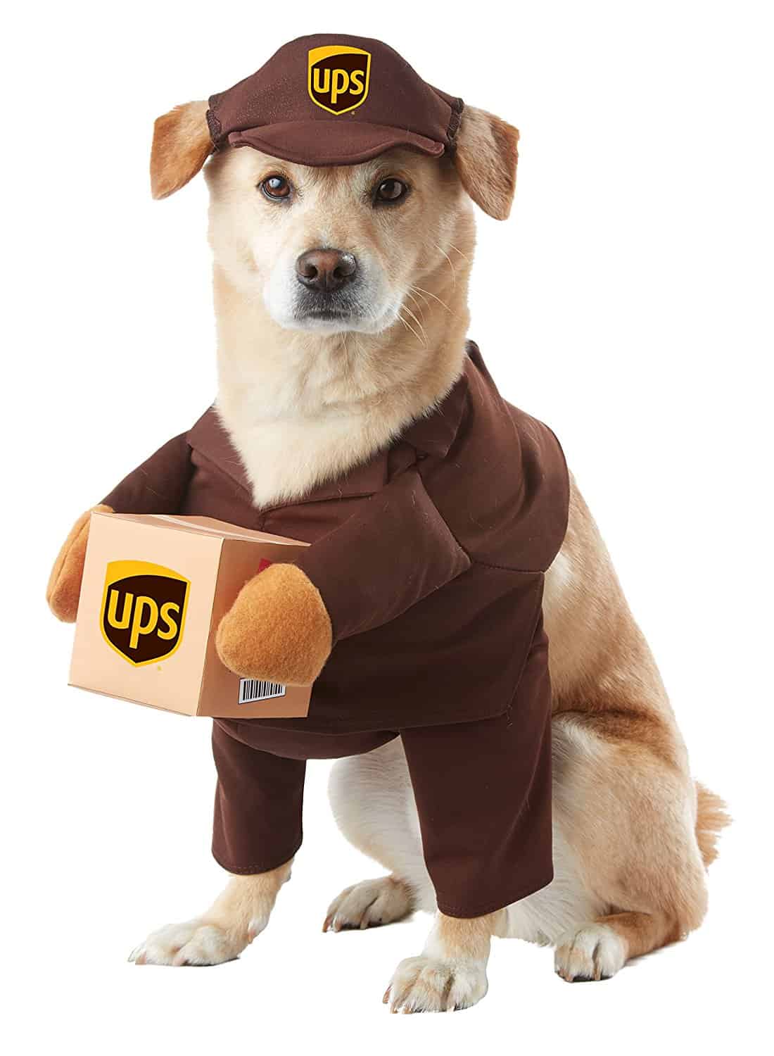 Dog wearing a brown delivery man costume carrying a UPS box
