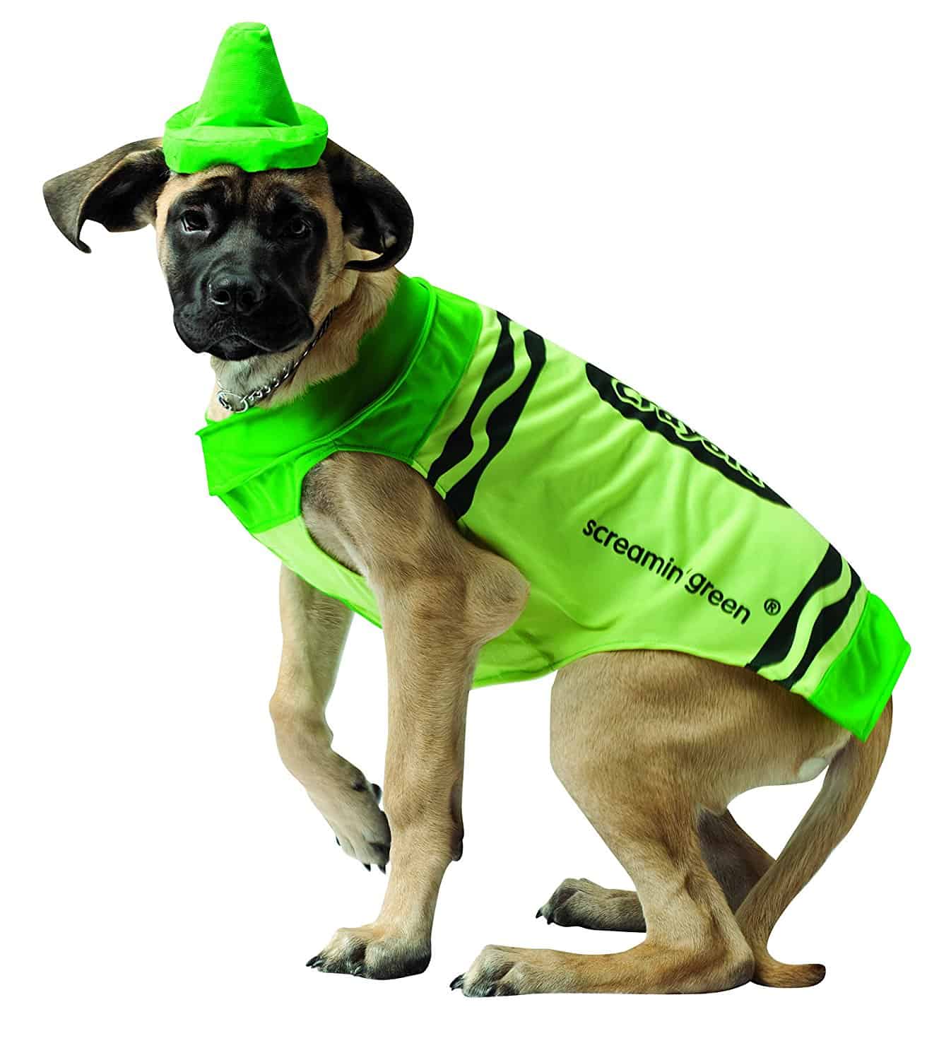 Big white dog in a green crayon costume