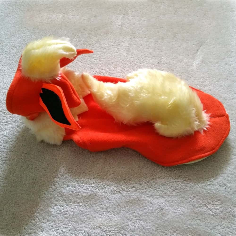 Small And Large Dog Costumes For Every Occasion NoveltyStreet