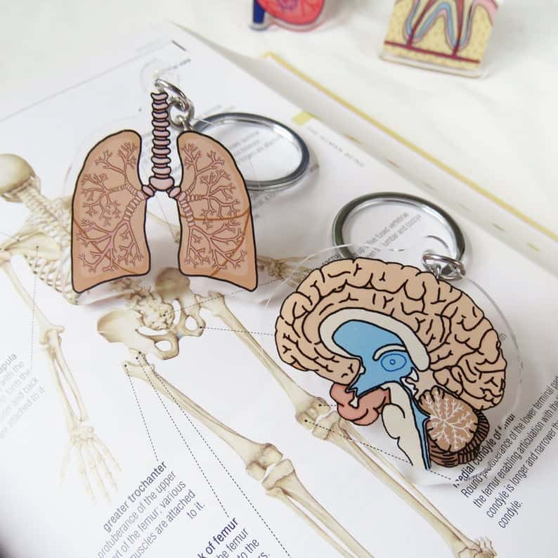 LoraksHandmade Brain and Lungs Anatomy Keychain LoraksHandmade Brain and Lungs Anatomy Keychain