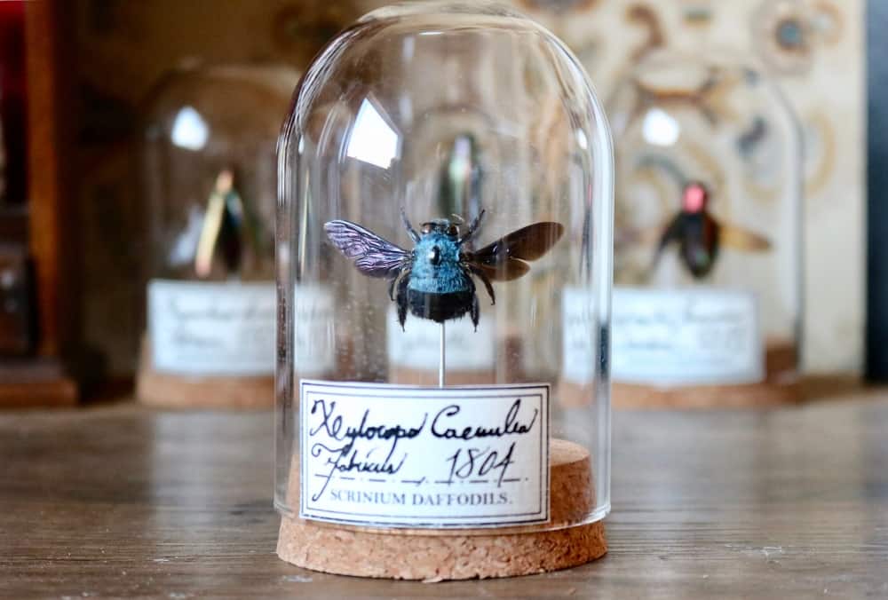 Cool Gifts for Biology Nerds Biologists, Teachers & Students Included NoveltyStreet