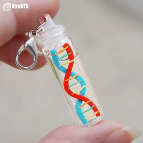 90Nuts DNA Double Helix Science Medicine Glass Bottle Charm