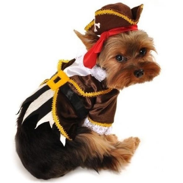 Ahoy-Thar-Mates-Pirate-Dog-Costume.jpg
