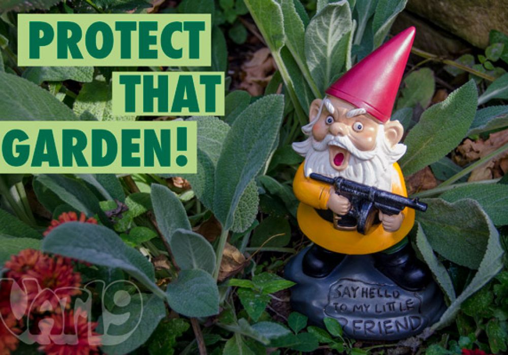Angry Little Garden Gnome - NoveltyStreet