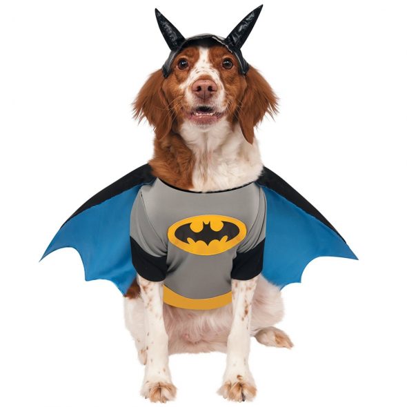 Small And Large Dog Costumes For Every Occasion – NoveltyStreet