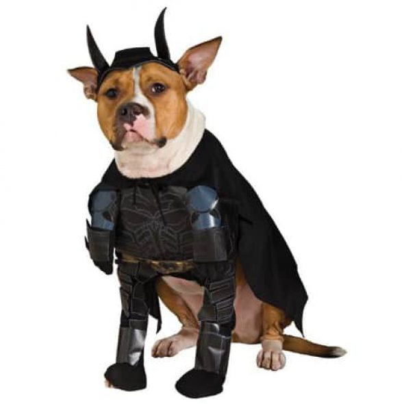 Batman-The-Dark-Knight-Rises-Pet-Costume.jpg