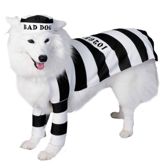Black-and-White-Dog-Prison-Costume.jpg